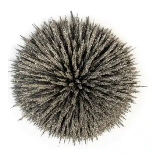 Is Lead Ferromagnetic? Exploring the Magnetic Properties of Lead