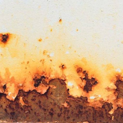 Regular Cleaning and Maintenance Tips