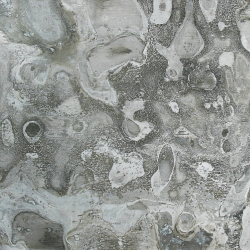 The Science of Aluminum Oxidation